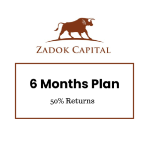 6-Months Plan